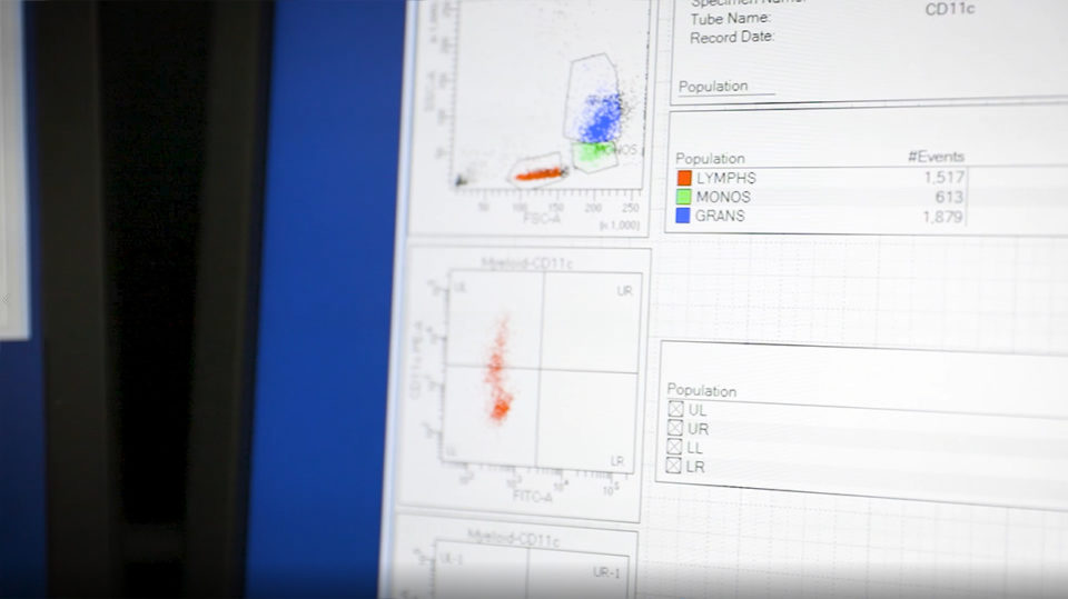 flow cytometry density plot