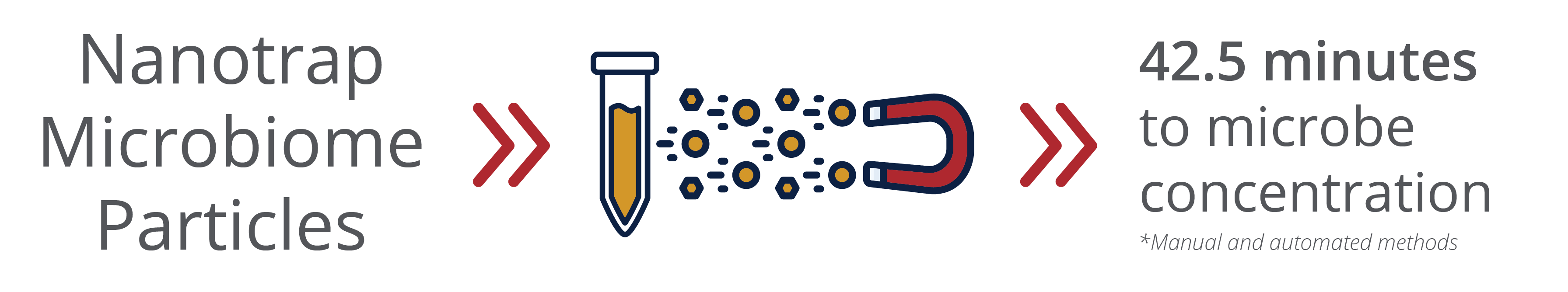 Nanotrap Microbiome Particles sample process timeline