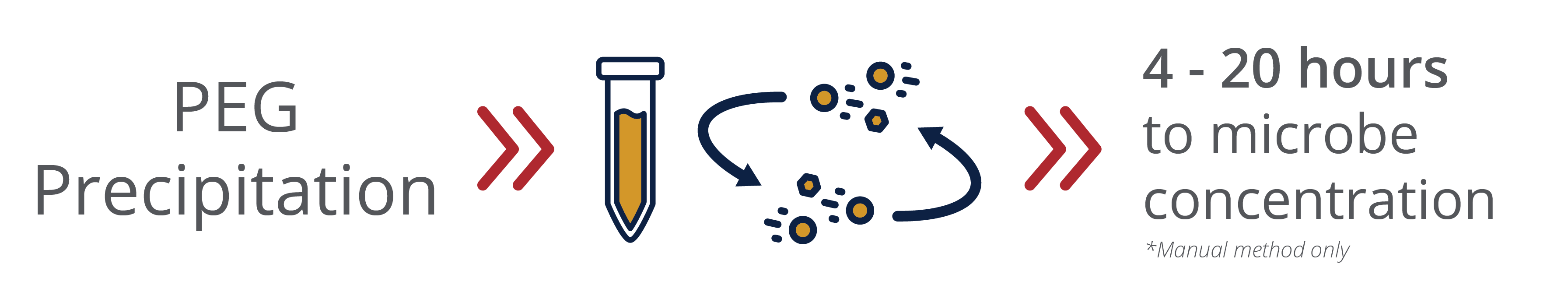 PEG Precipitation sample process timeline