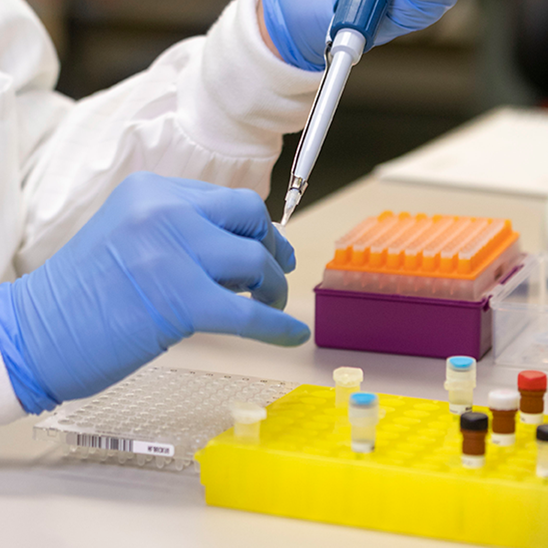 Pipetting liquid into microcentrifuge tubes for laboratory research, with a multiwell plate in the background.