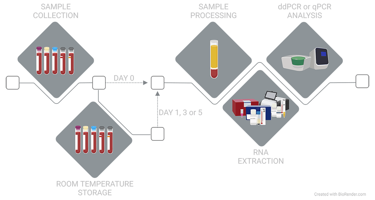 Urine Collection and Analysis Workflow