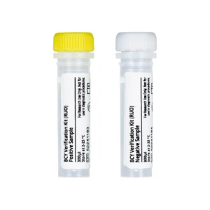 Blood Culture Yeast Verification Kit (RUO)