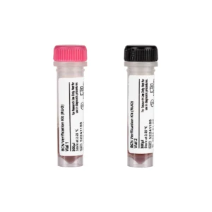 Blood Culture GN Verification Kit (RUO)