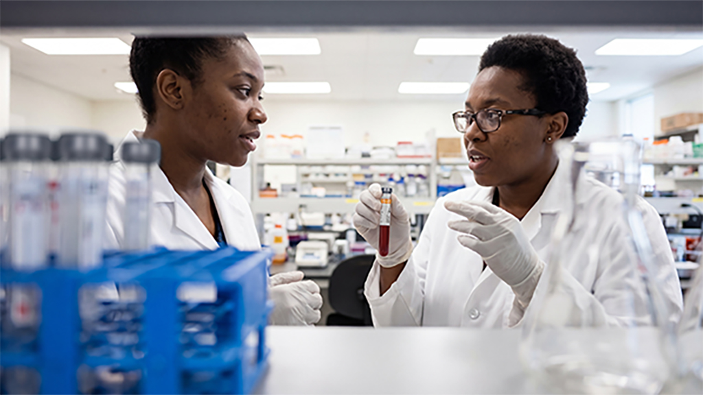 Lab Technicians Discussing Specimen